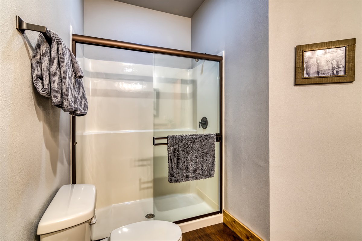 Lower level bathroom