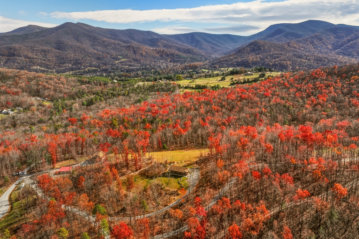 Peaceful and quiet setting—perfect for relaxing, reading, or simply listening to the sounds of nature