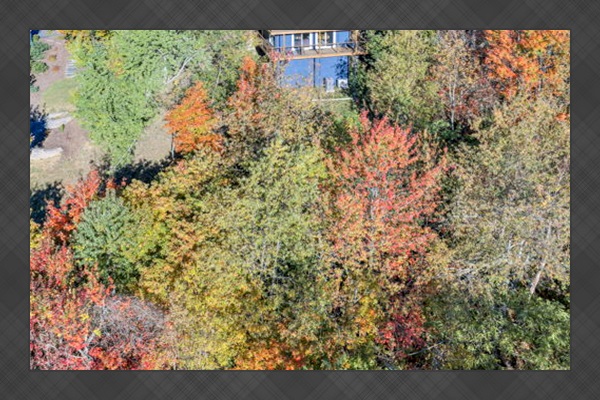 Fall @ WishYouWereHere7Devils is what Leaf Peeping dreams are made of! These October 2025 photos & videos were incredible!