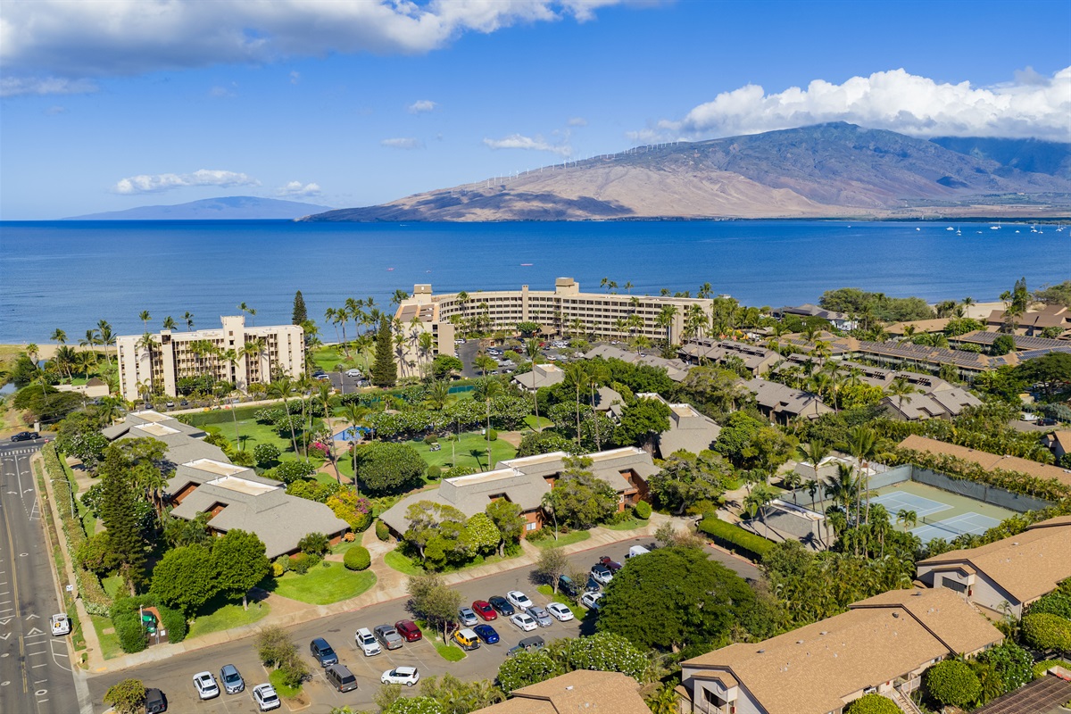 South Maui