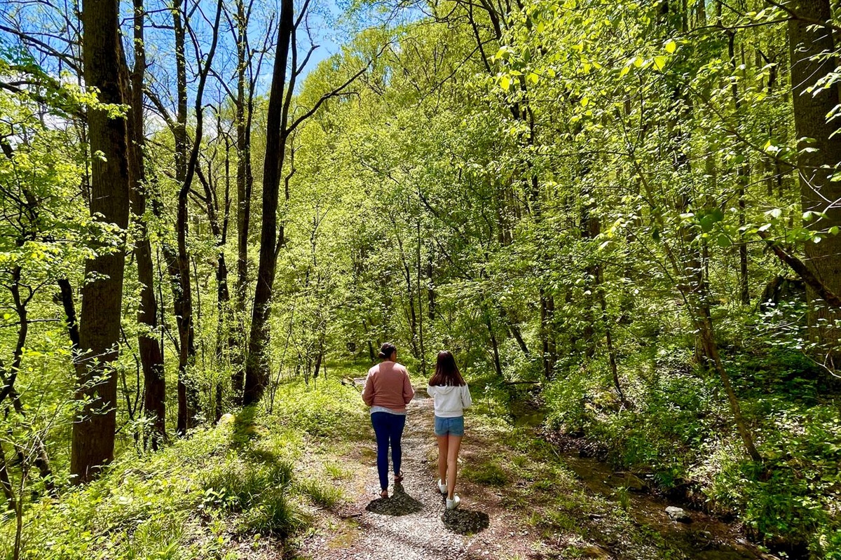 Hiking paths easy for family's are everywhere. The only question is: what will you talk about and discover on these paths?