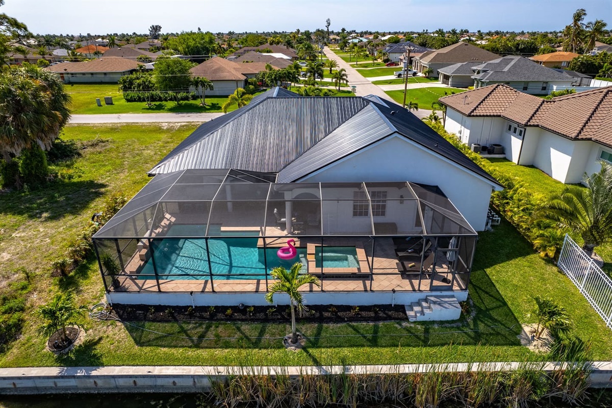 Discover Florida's wildlife with mesmerizing bird, fish, and turtle sightings