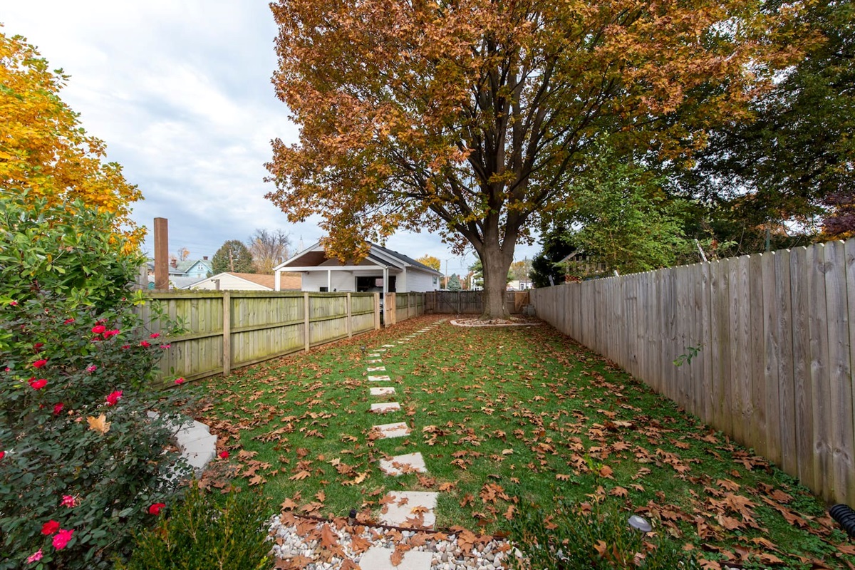 Backyard view in the fall