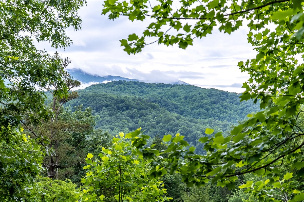 Beautiful views of the Smoky Mountains from the rear decks (note:  views are seasonal, depending on how thick the trees get)