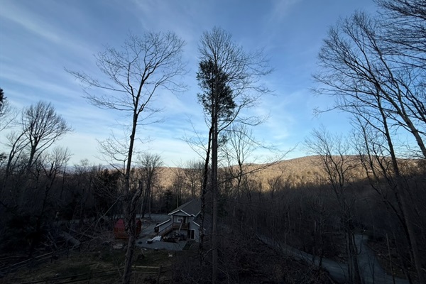 More deck views. 