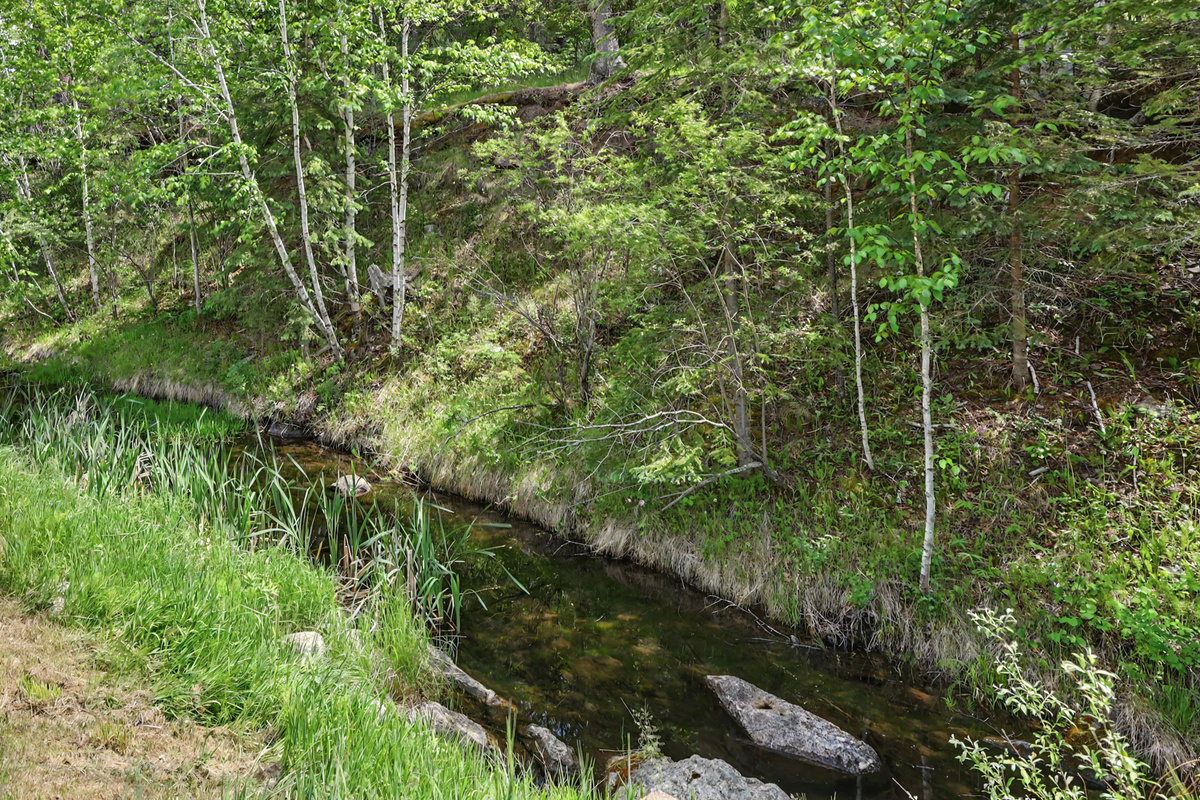 Stream Access from Backyard