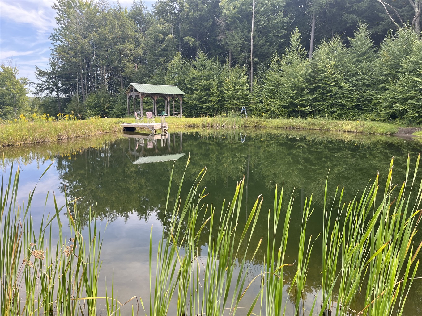 Pond with dock and pavillion