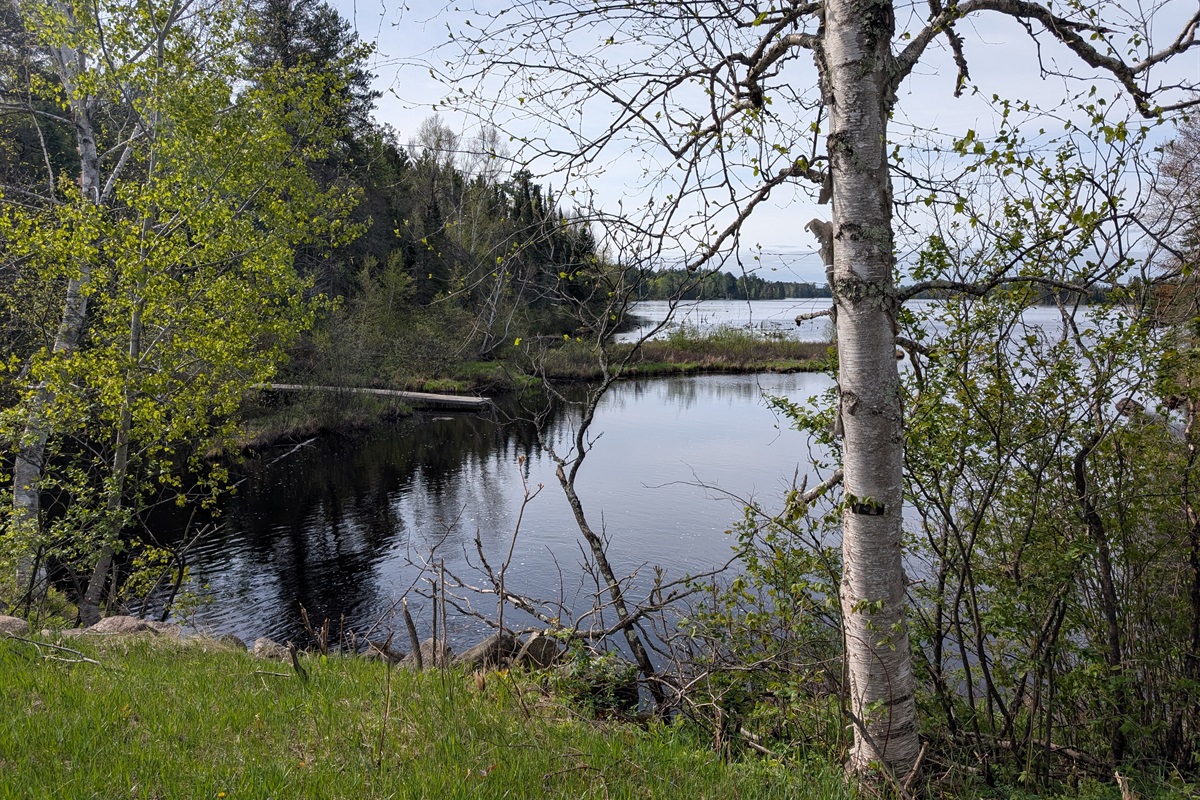 Dock on Killarney Lake