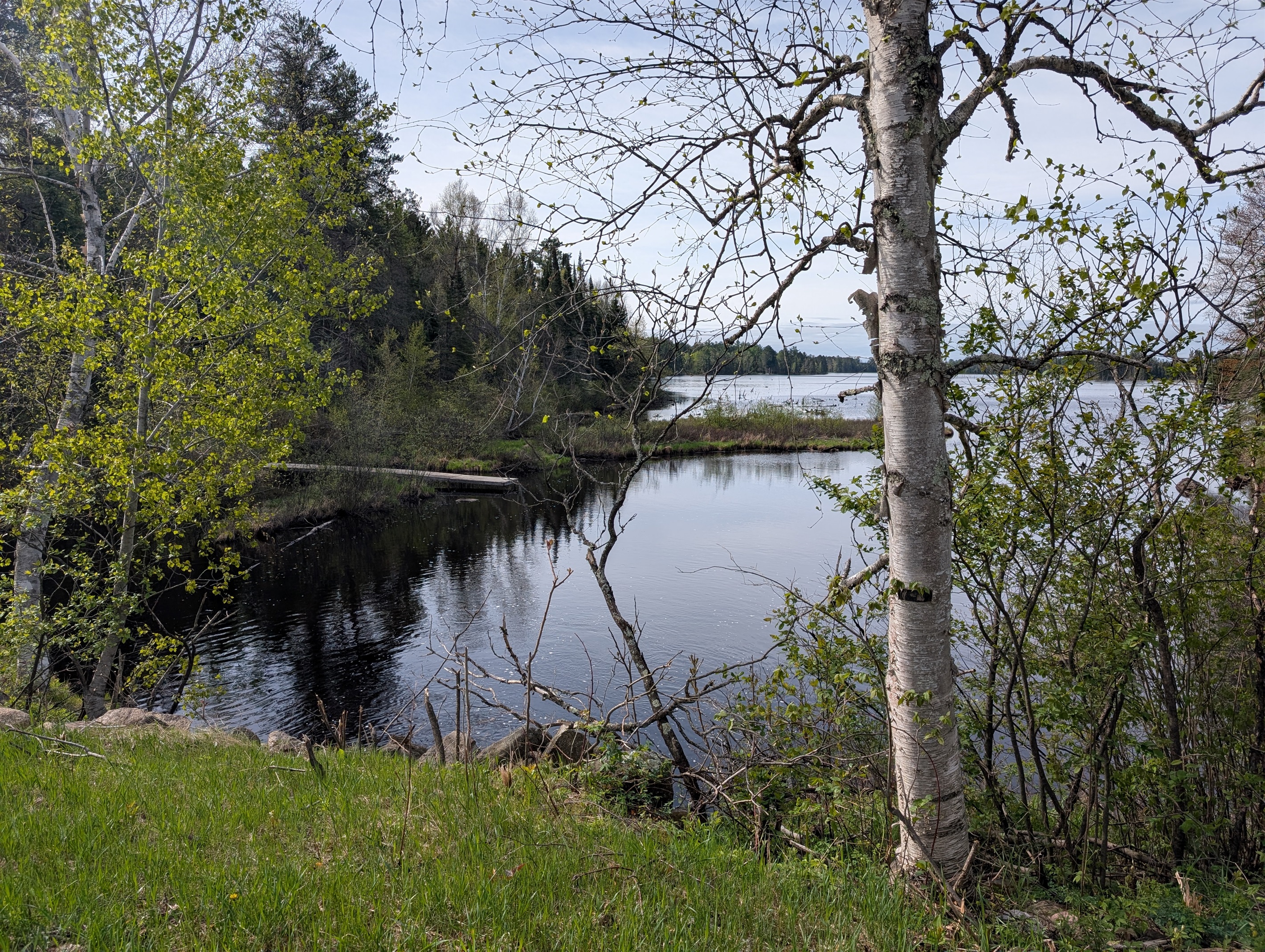 Dock on Killarney Lake