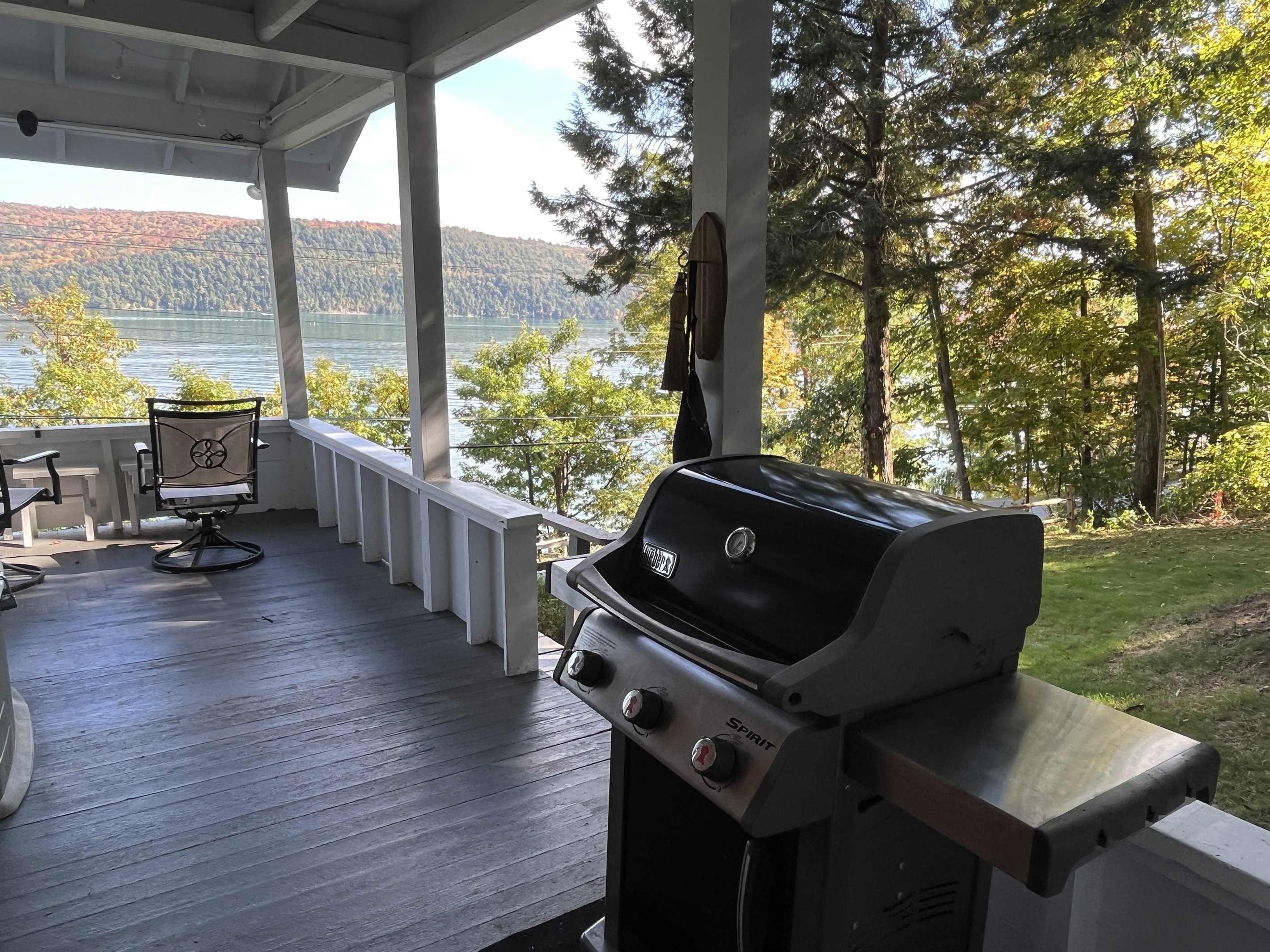 Lille Gossebo gas grill on the porch just off the kitchen entry.