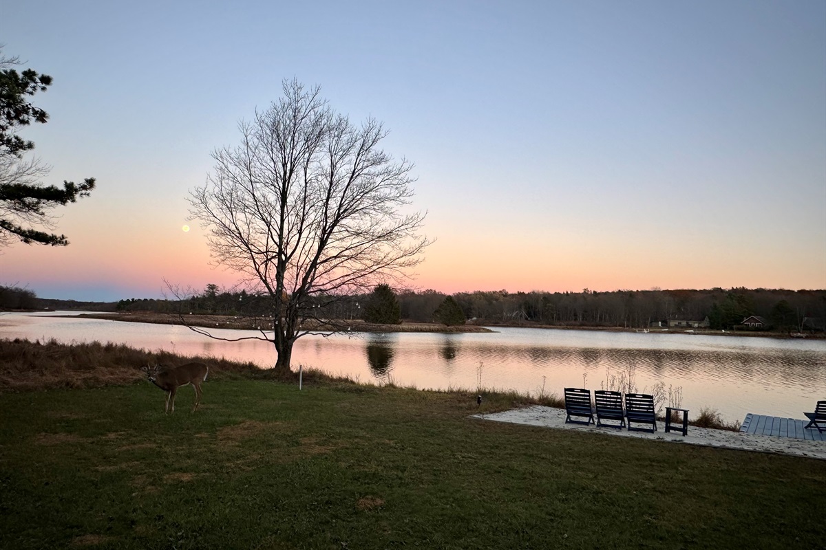 Reflections worth remembering — the perfect dusk moment.