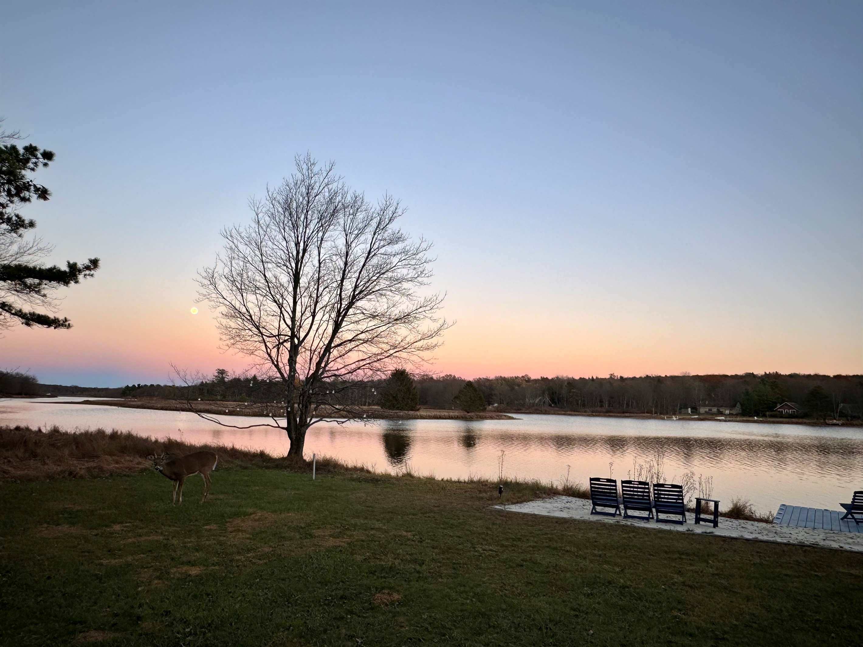 Reflections worth remembering — the perfect dusk moment.