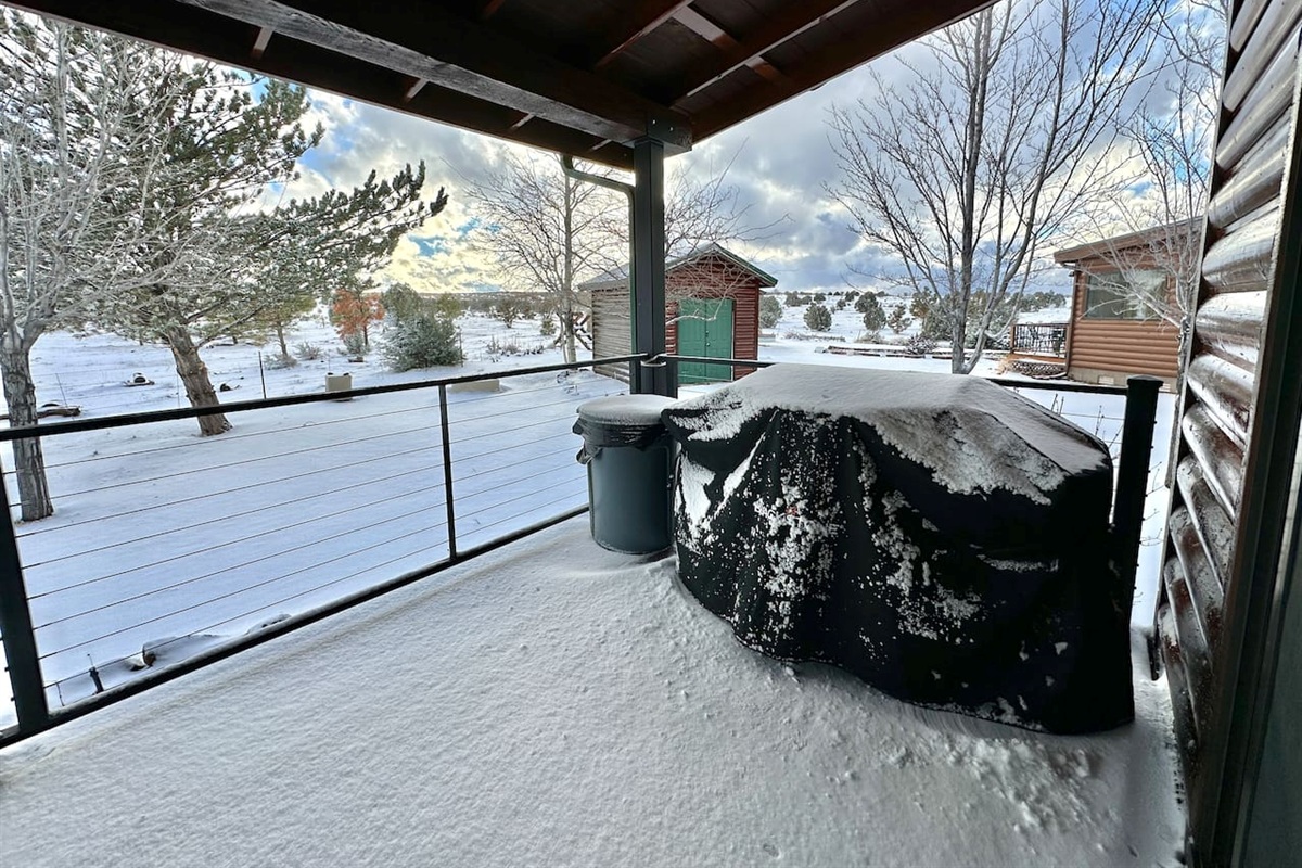 Blackstone grill for easy outdoor meals