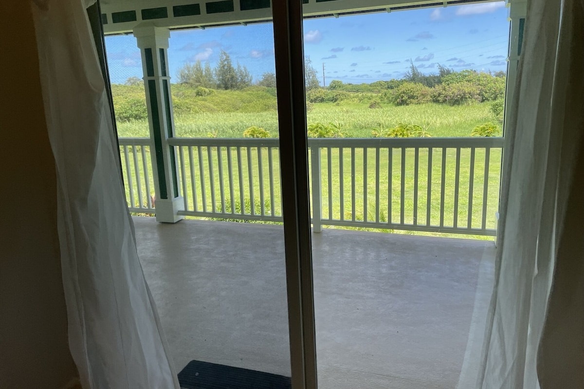 Ocean bedroom. Doors open up to lanai.