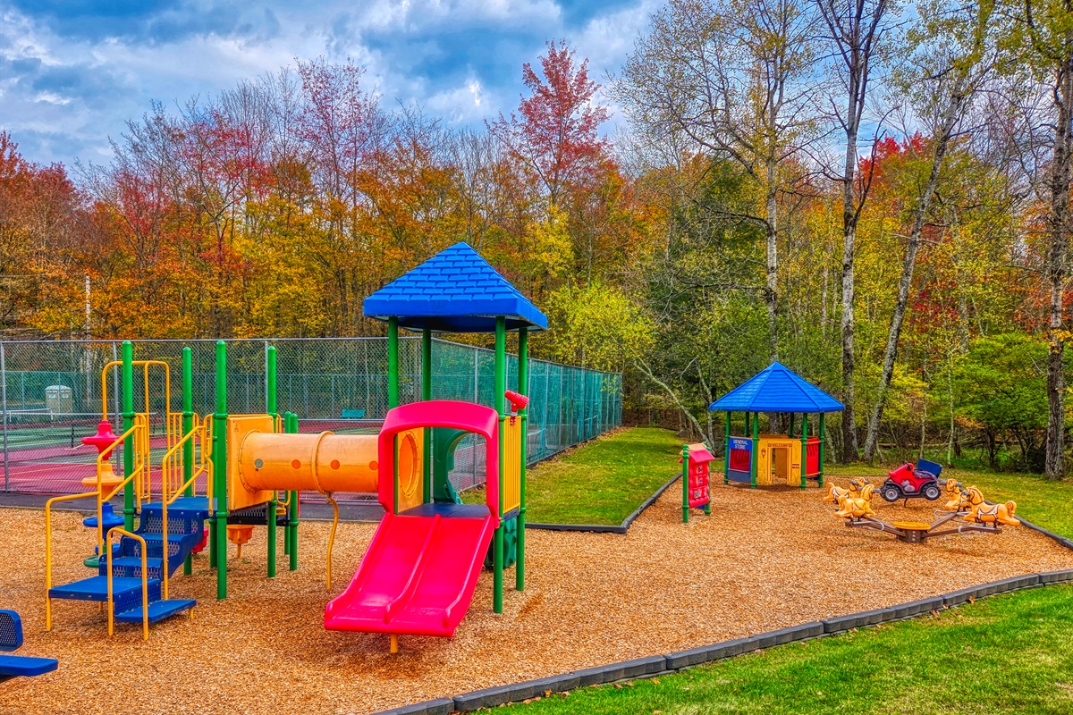 Playground - Community Amenity - Arrowhead Lake - Serhii Vacation Rentals