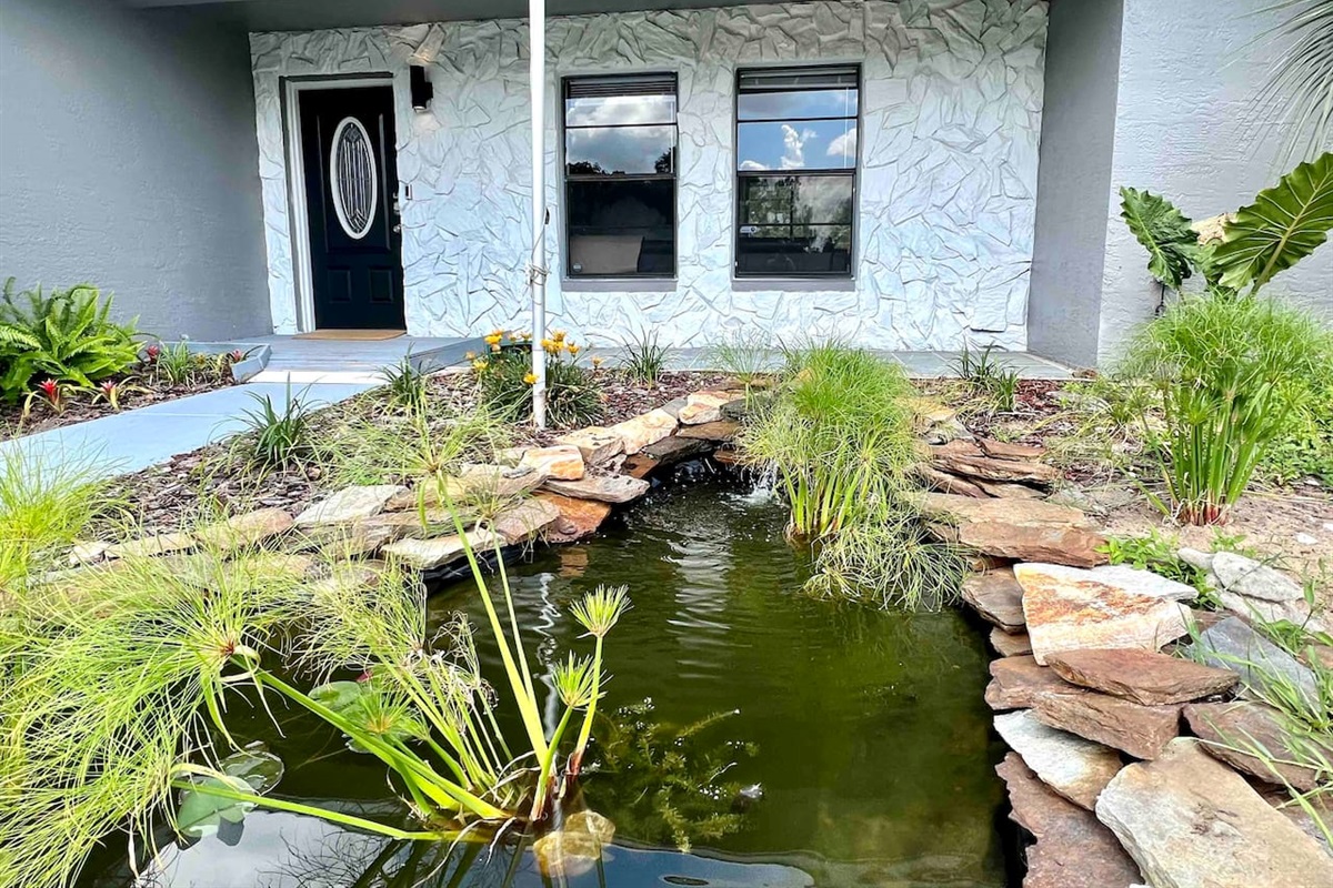 Watch frogs come visit our pond as you listen to the soothing waterfall ambient sounds. 