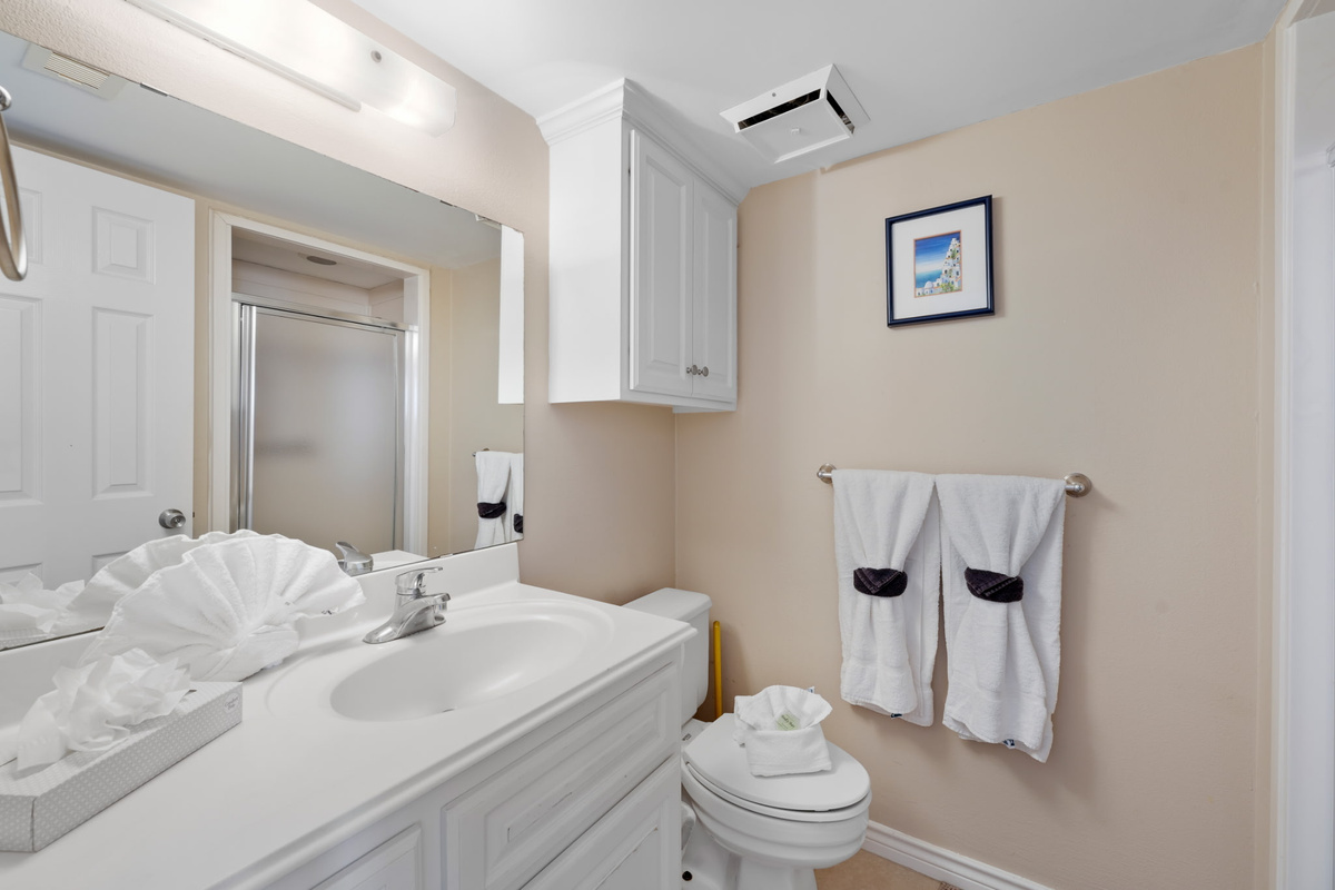 Bathroom 2 with walk in shower
