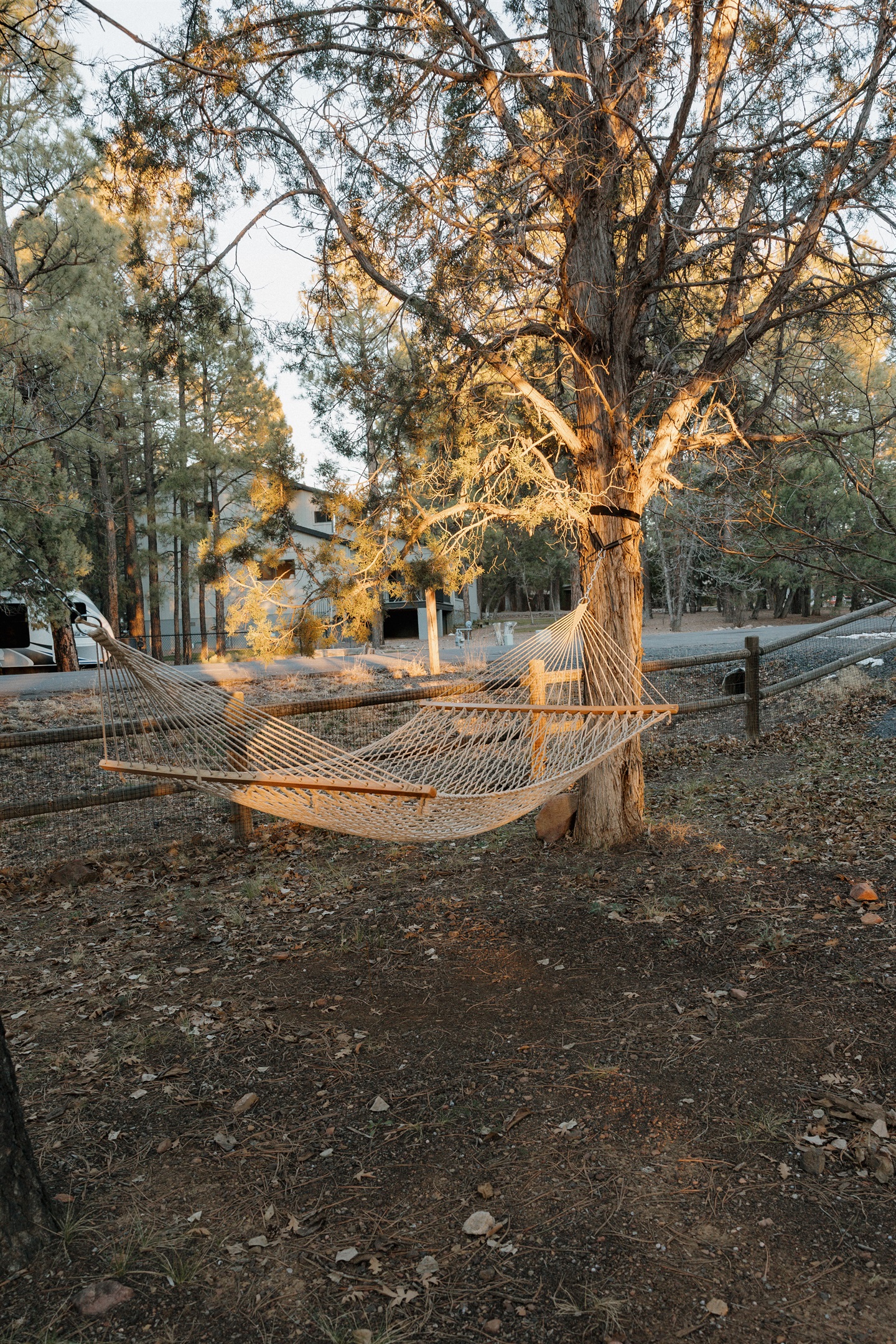 Pet-friendly paradise: dual rope hammocks in your securely fenced yard surrounded by cool ponderosa pines. Perfect for couples or families seeking outdoor relaxation in Show Low. Unwind among the trees while your dogs play safely in this White Mountains re