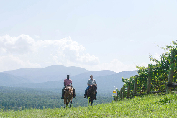 Saddle up and experience Virginia’s Blue Ridge on horseback, surrounded by incredible mountain scenery. Photo: Virginia Tourism Corporation