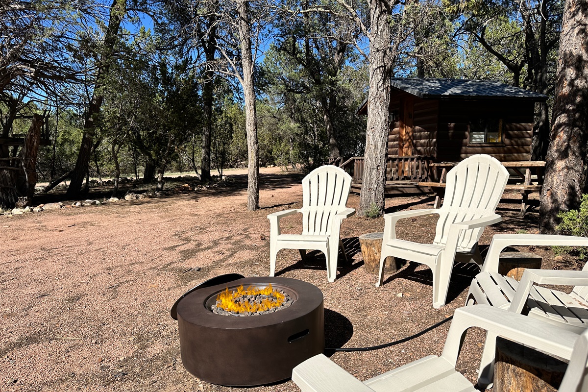 Practice your s'mores making skills at the propane campfire