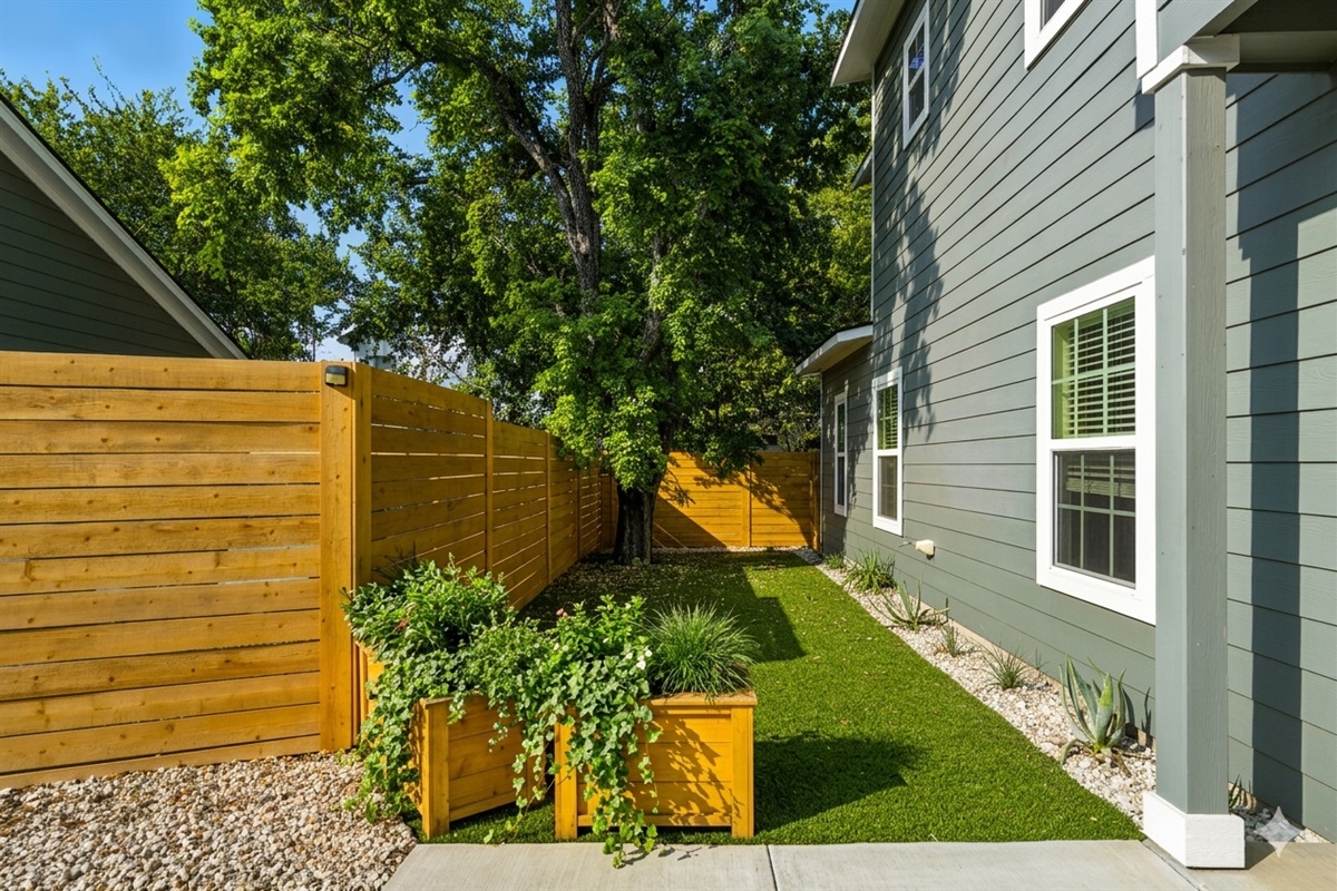 texas greens and beautiful trees and yard , front of the house