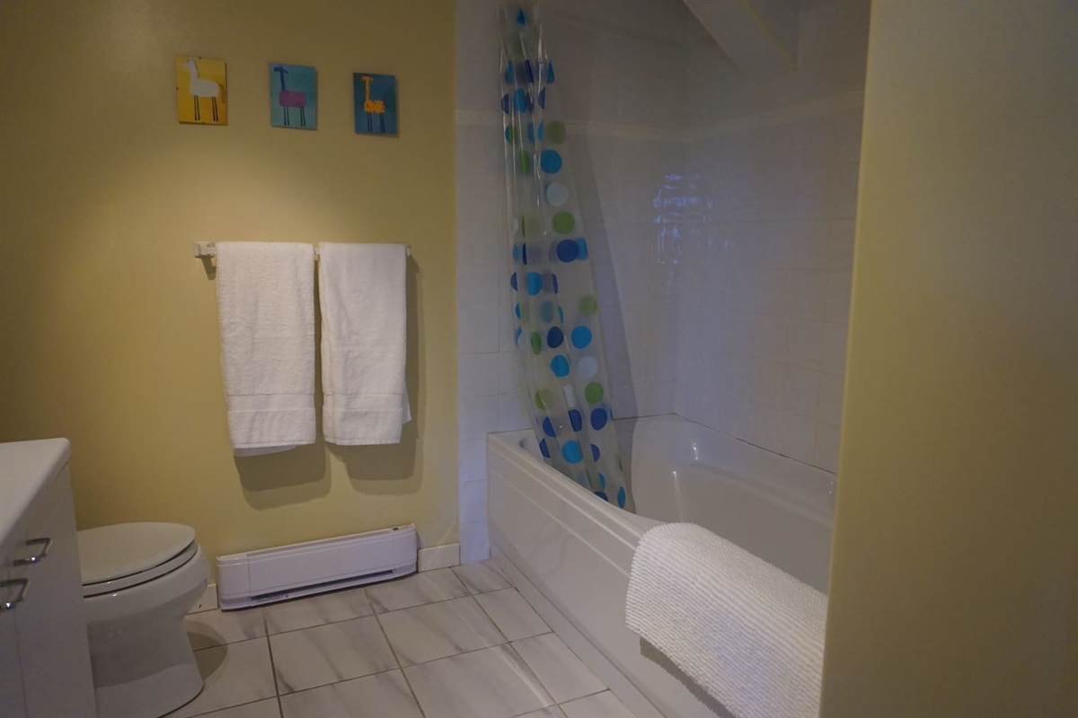 Garden Room full bathroom with 6 foot tub.