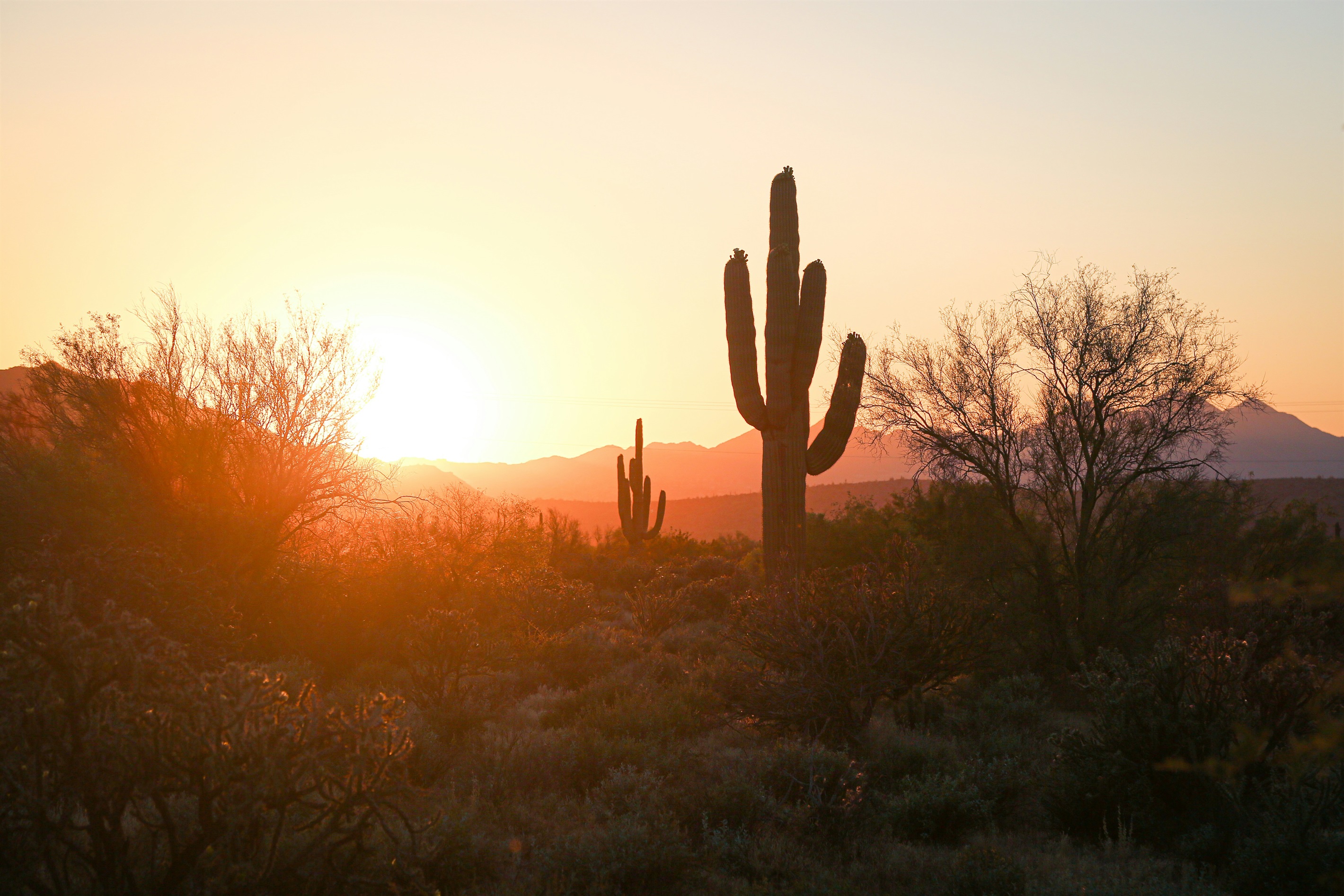 Experience the beauty of the Southwest at our unique properties. From rustic Spanish charm to mid-century modern style, find your perfect Arizona getaway.