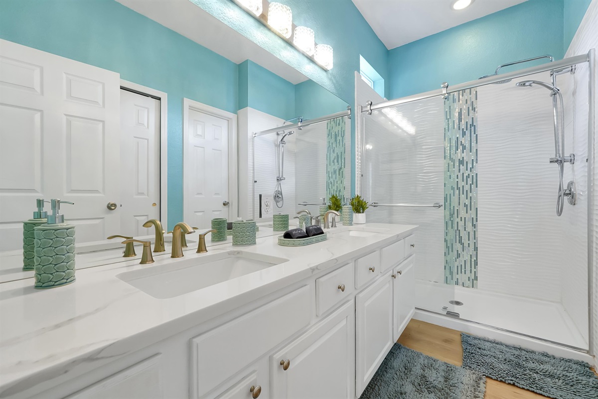 New Master bathroom