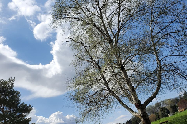 Sky