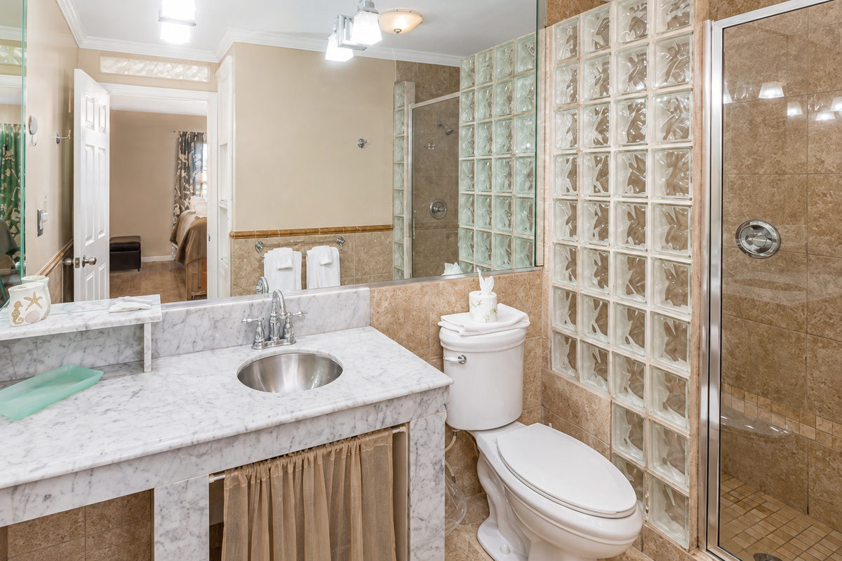 Walk-in shower, plenty of counter space