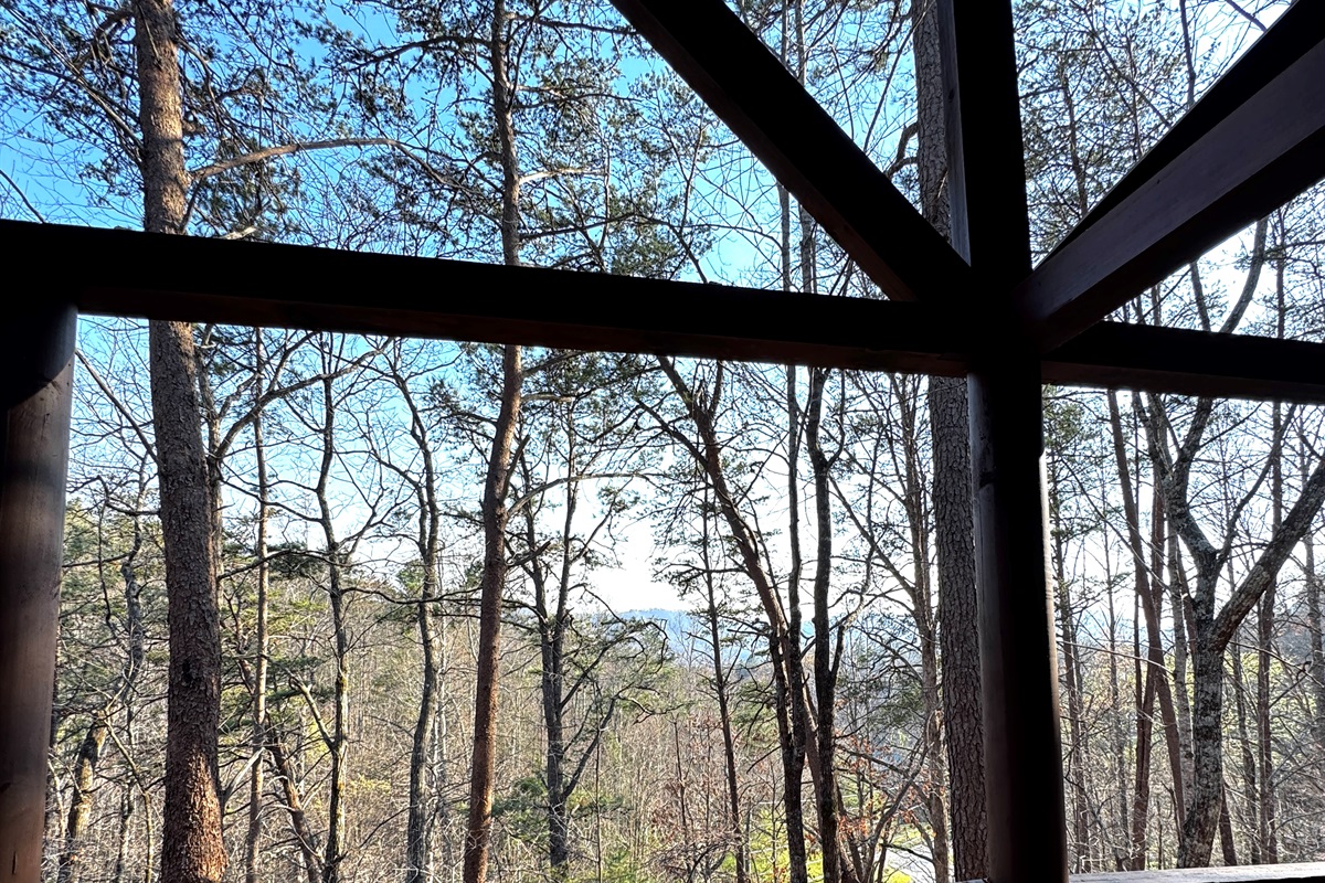 View from the back deck