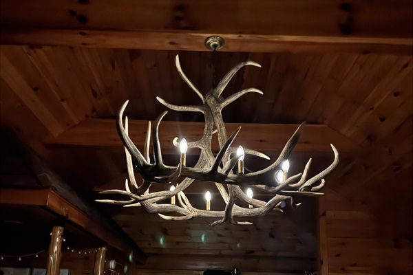 Antler chandelier with dimmer