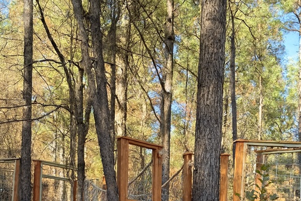 Little explorers can scale their own rock wall and disappear into the treetop fort for hours of imaginative play, while you sip coffee on the porch and listen to their laughter drift through the forest at Pinewood Lodge.