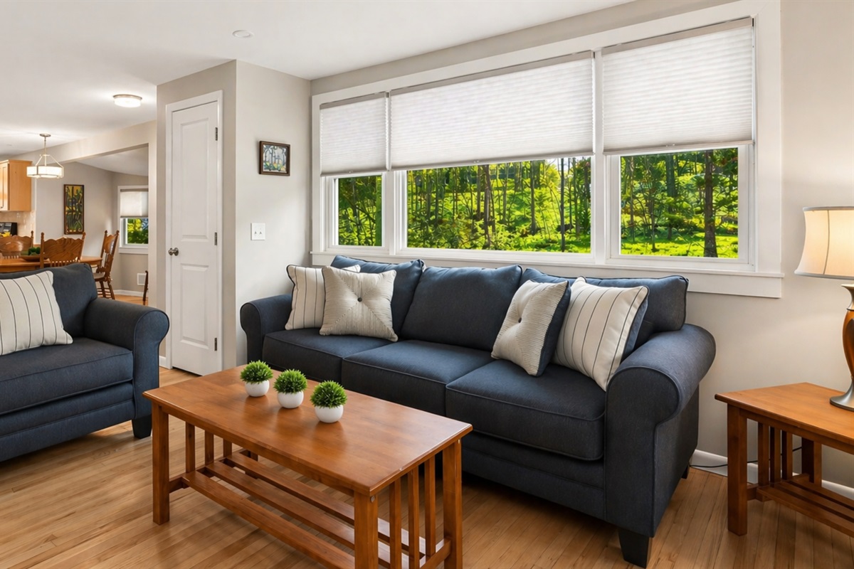 Cozy living room main floor