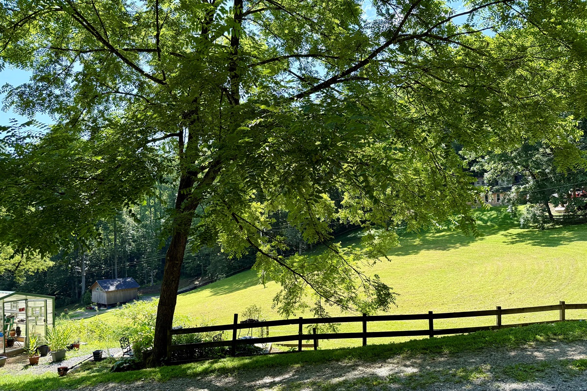 Wide-open pasture and valley views for peaceful mountain mornings.