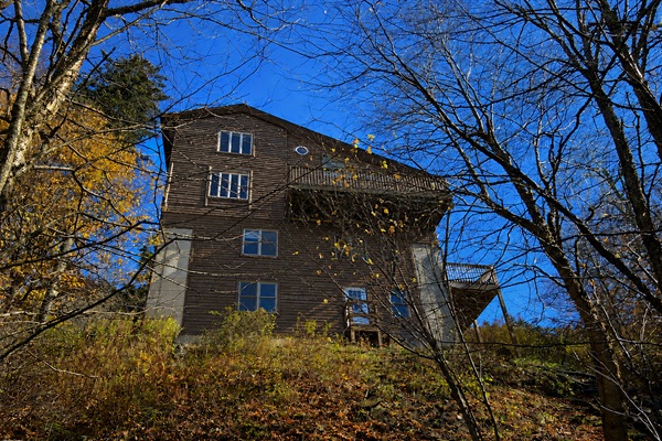 Back of the House
