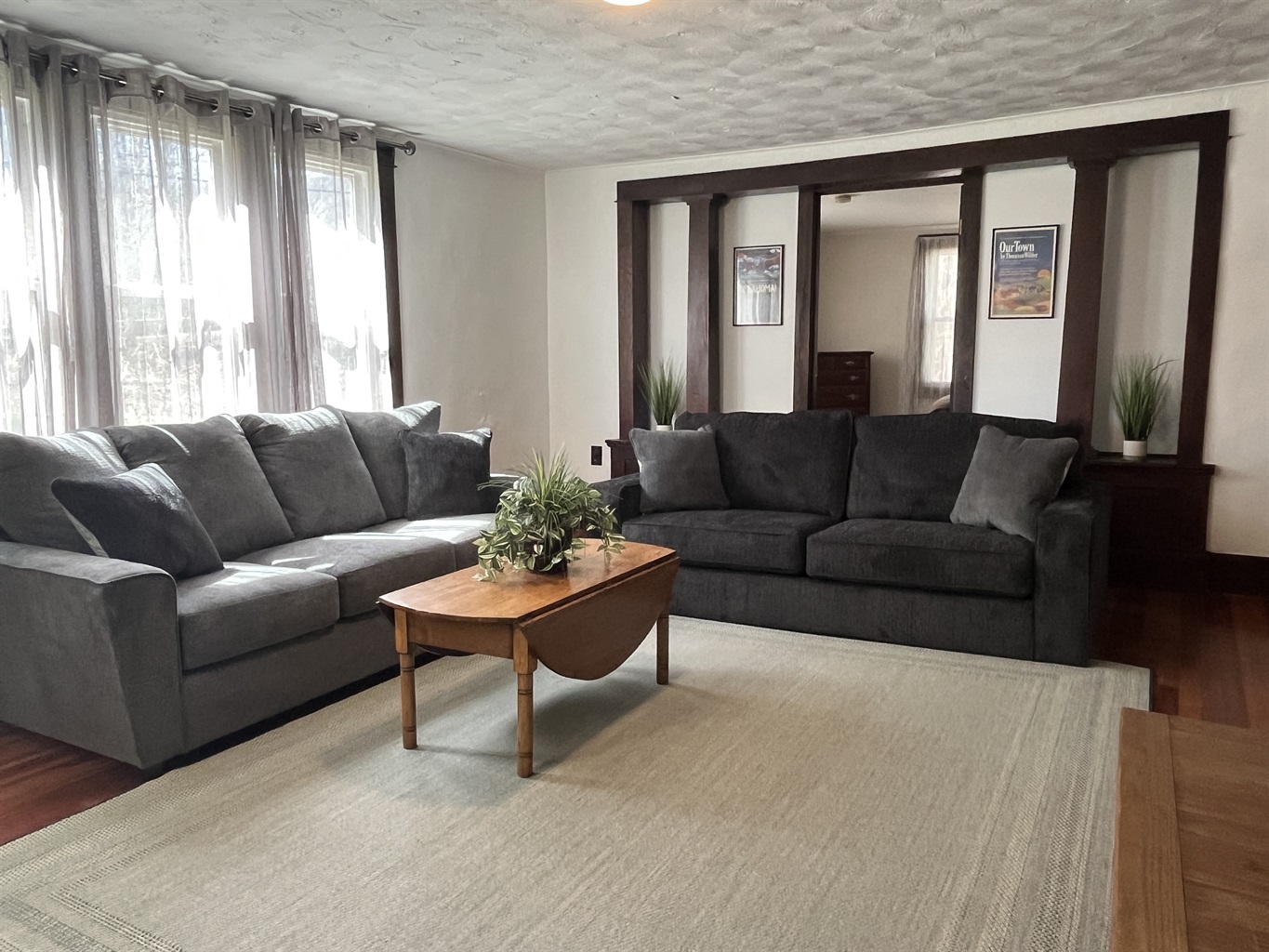 Large living room with comfy couches