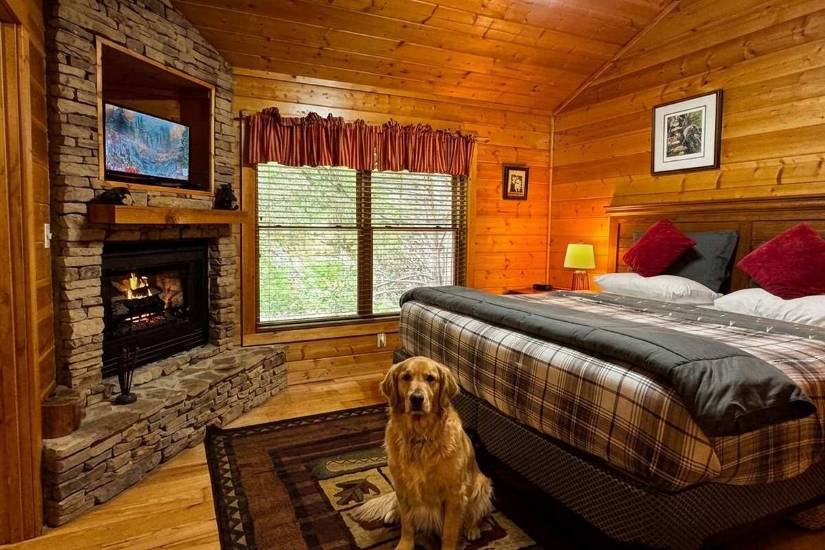 The ultimate cold-weather luxury: A private gas fireplace right in your Master Suite. Available October 1st through March 31st! Dogs love it!