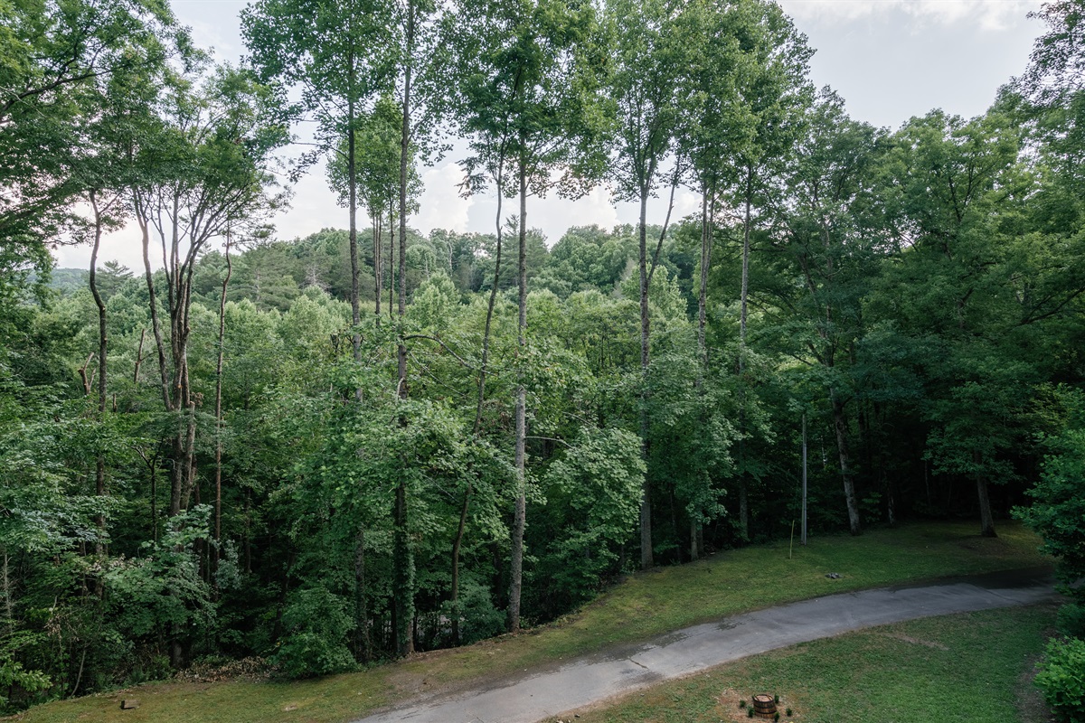 Views from the top deck. Long paved driveway and grassy areas for kids to play! Many kids enjoy bringing their bikes to go down the driveway.