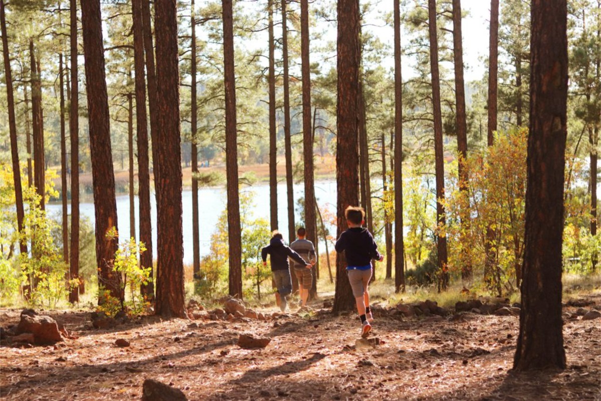 Enjoy a stroll along the walking trails.