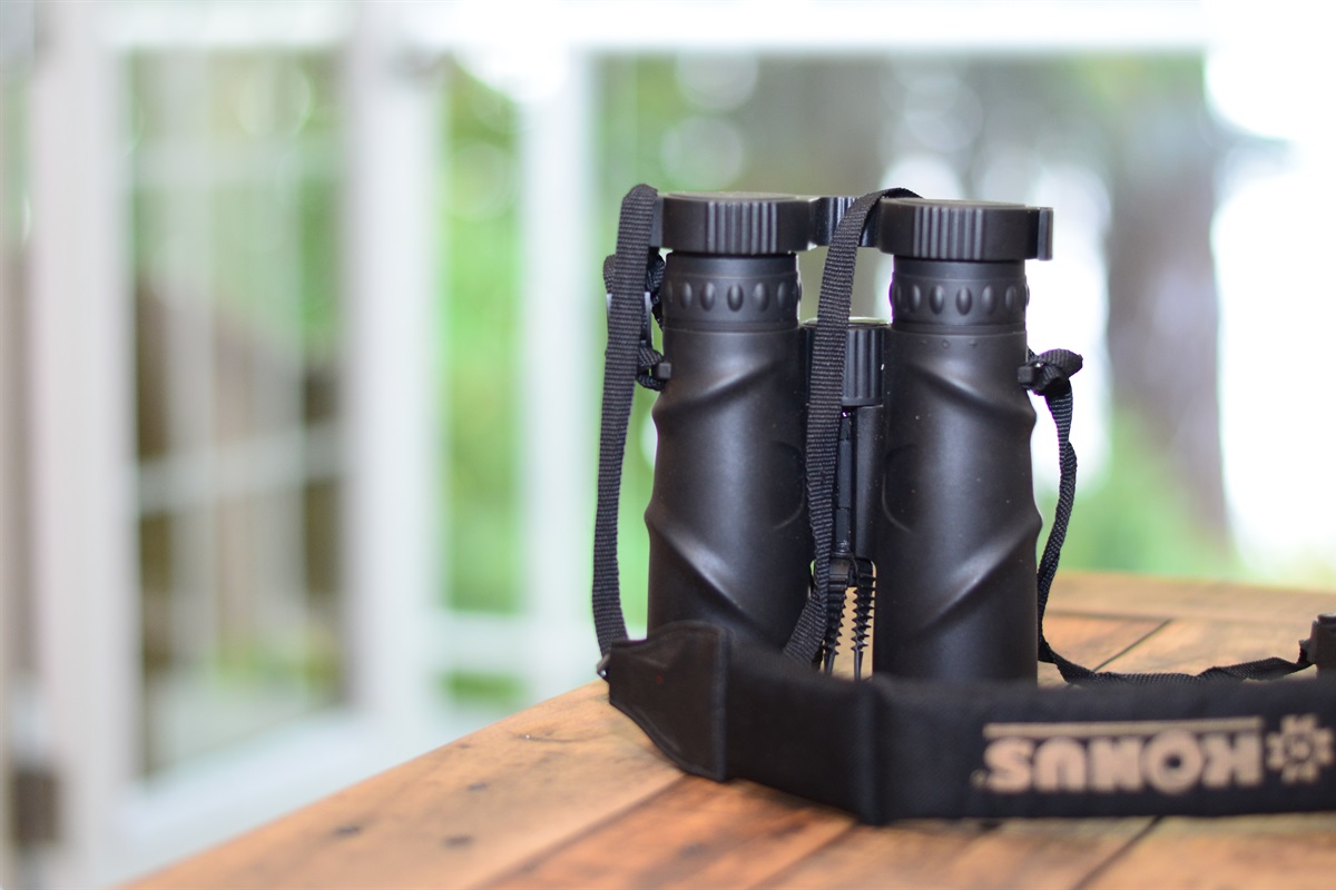 Binoculars provided to spot seals, eagles, and marine life