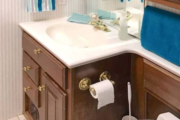 Bathroom Sink and Cabinets