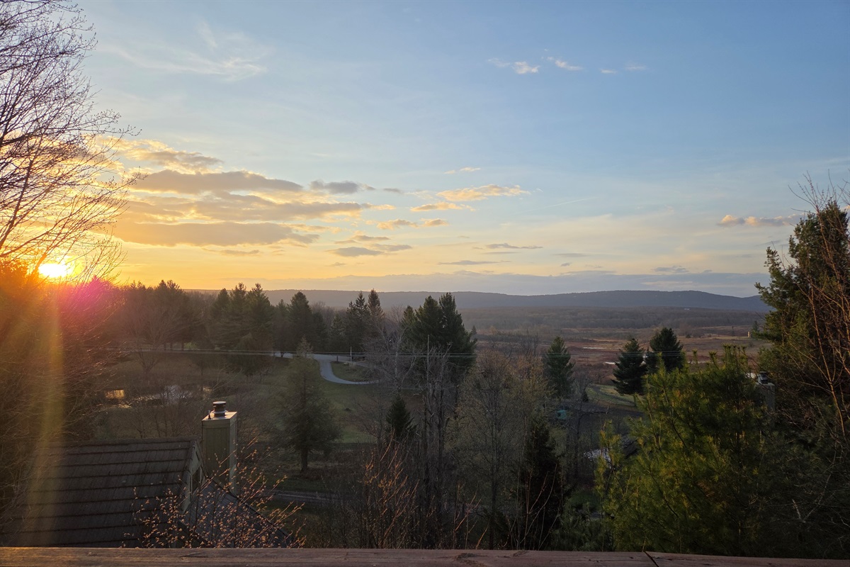 Cabin 23, Black Bear Resort photo