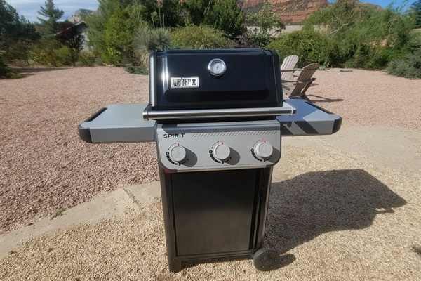 Weber gas grill