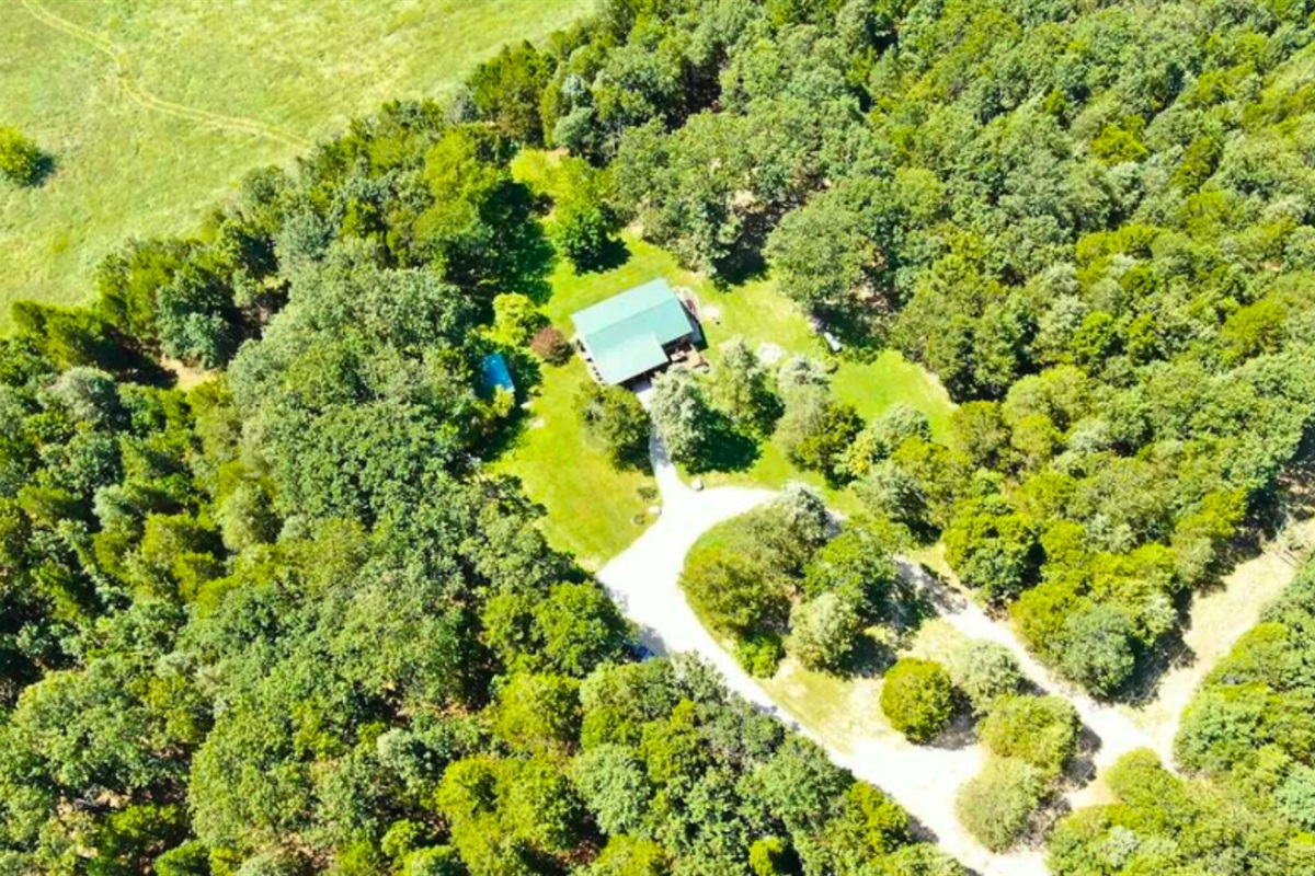Discover the expansive beauty of Cedar Grove Cabin's 10 secluded acres&mdash;your private retreat surrounded by nature.