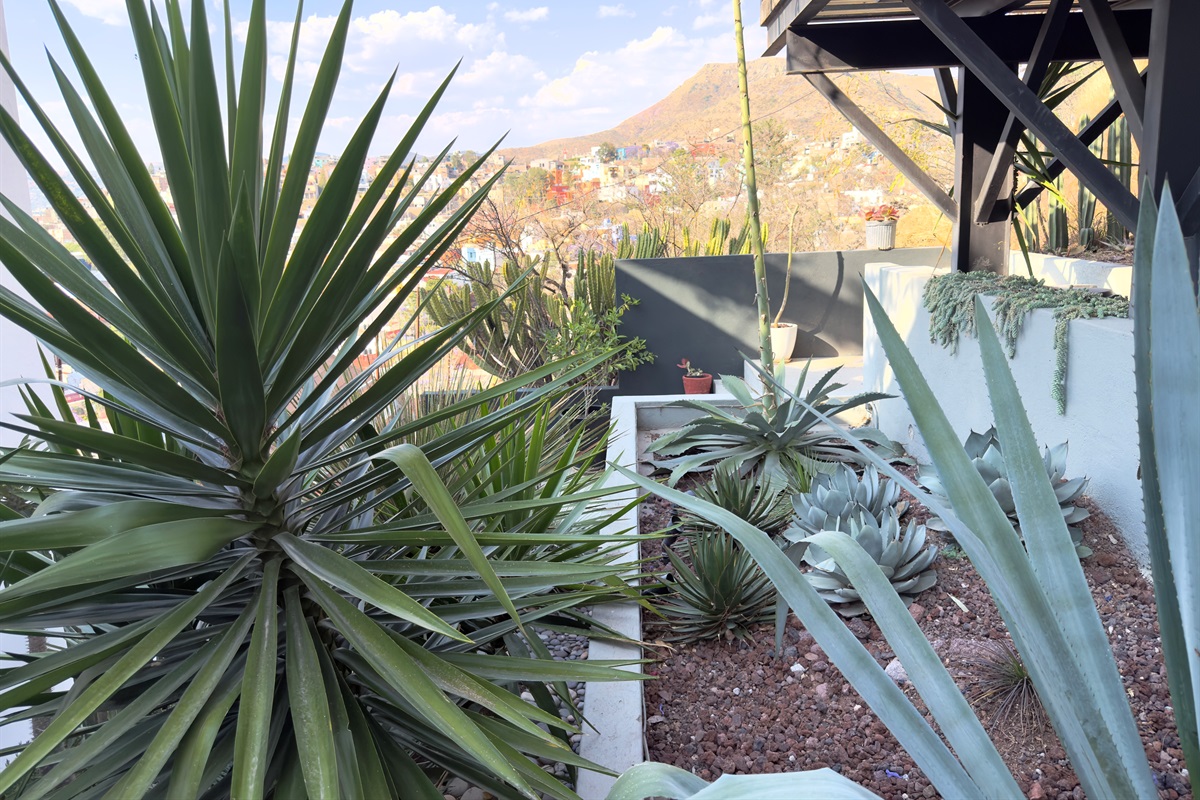 Outdoor Planting Area