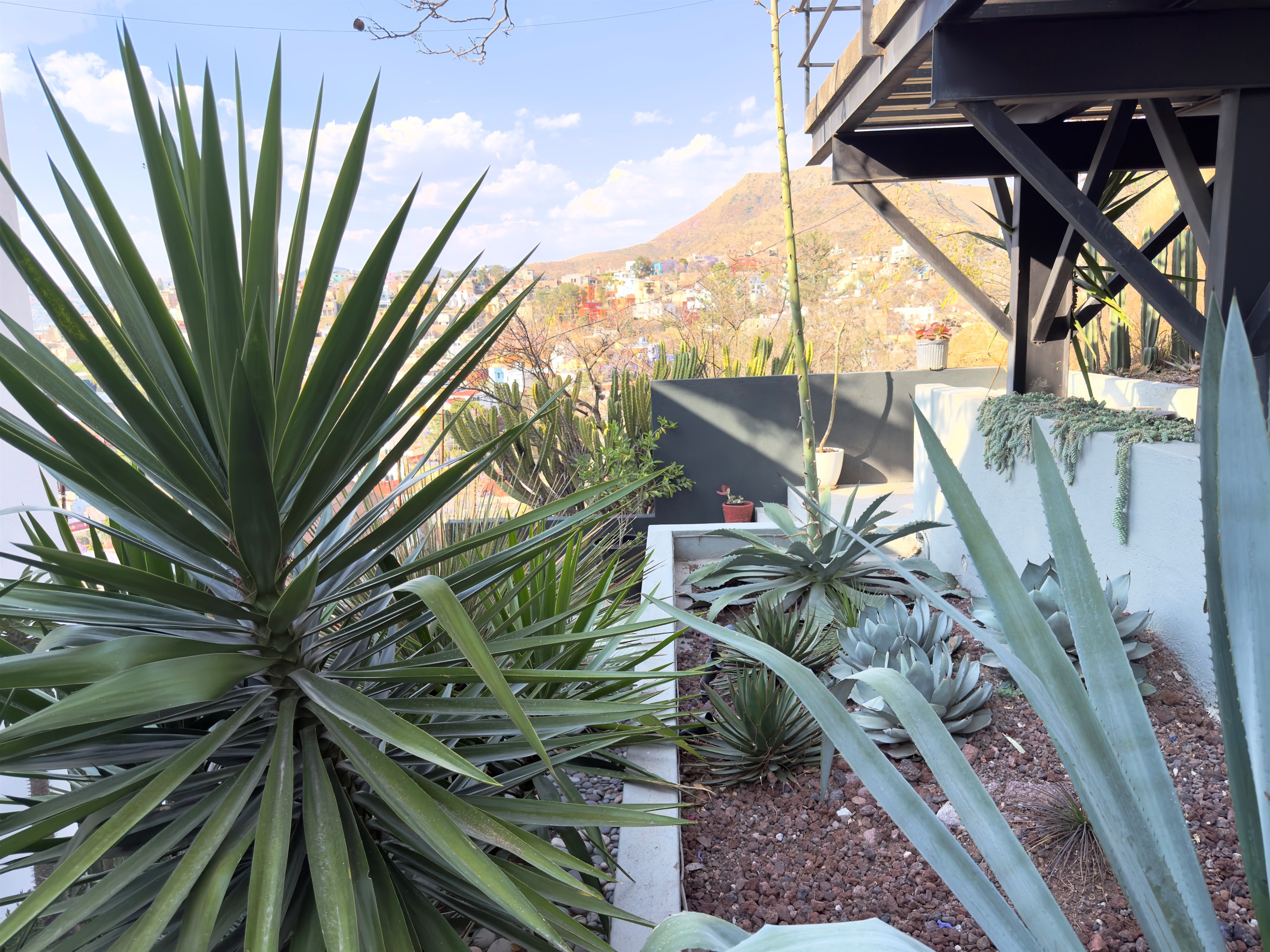 Outdoor Planting Area