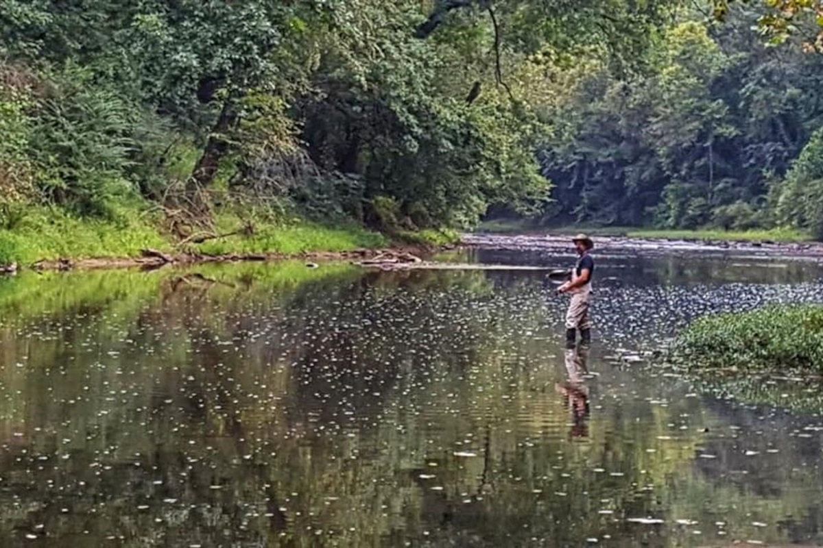 Case Rock Cabin Case Rock Cottages, LLC