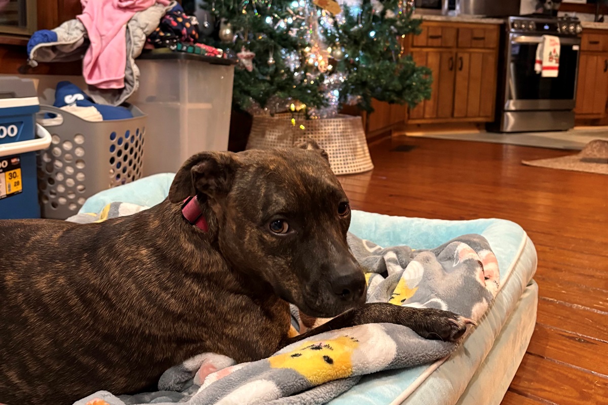 It is the most wonderful time in the year!