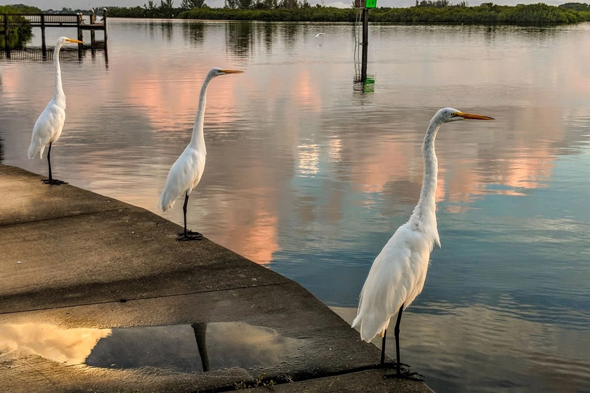 Peaceful waterside moments with nature always nearby.